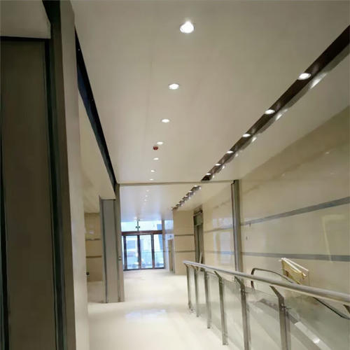 過道集成吊頂圖片-過道吊頂怎么裝