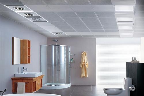 集成印花吊頂-鋁塑板和鋁扣板吊頂