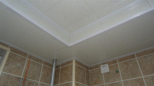 鋁扣板材吊頂-鋁扣板和生態木哪個好