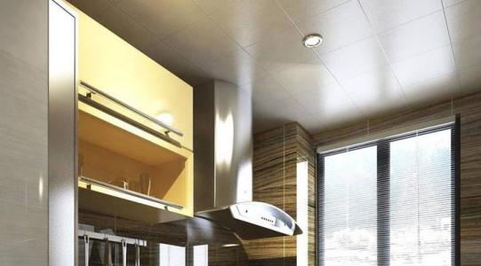 鋁扣板吊頂的生產廠-生產鋁扣板吊頂廠家-瑞安的鋁扣板生產廠家