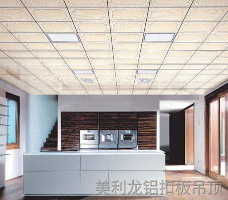 400*400鋁扣板5 400*400鋁扣板5