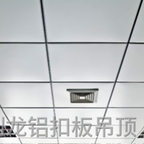 滾涂沖孔鋁扣板天花 滾涂沖孔鋁扣板天花