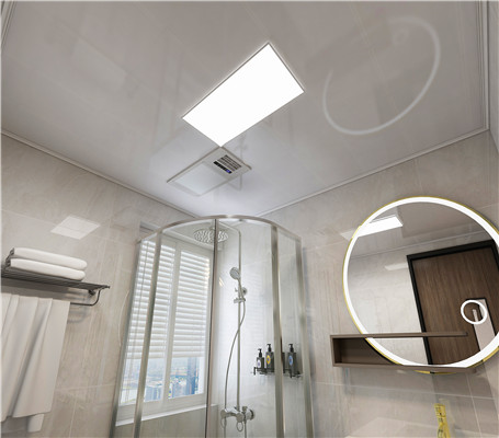 衛(wèi)生間吊頂實例 衛(wèi)生間吊頂實例