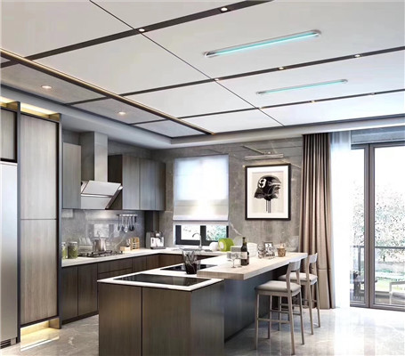 廚衛吊頂效果圖
