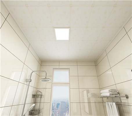 廚衛(wèi)吊頂材料 廚衛(wèi)吊頂材料