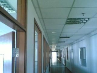 杭州集成吊頂店-廣州集成吊頂廠家來講講