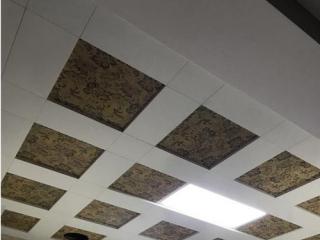 歐式風(fēng)格鋁扣板-跟著客廳鋁扣板吊頂廠家一起來看看