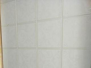 衛生間鋁合金扣板規格-鋁合金扣板吊頂價格的奧秘