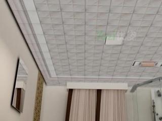 鋁扣板集成吊頂批發商的-鋁扣板批發廠家一起來看看鋁扣板吊頂用在哪