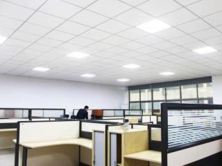 工程鋁扣板天花-廠區鋁單板吊頂工程案例