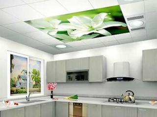 廚衛鋁扣板吊頂規格-廣東廚衛鋁扣板廠家之廚衛吊頂清潔怎么做